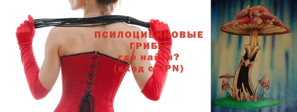 молекула духа Алексеевка