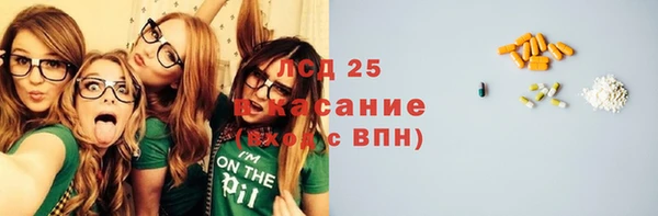 стаф Алзамай