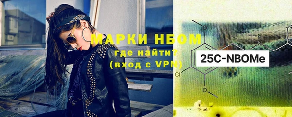 стаф Алзамай