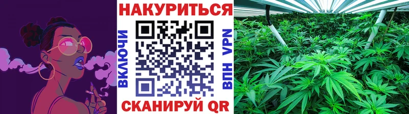 Бошки марихуана MAZAR  Мышкин 